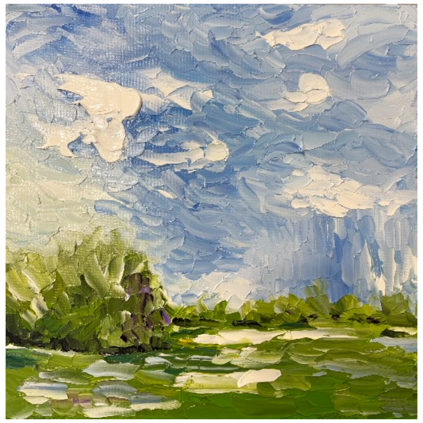 Marshes, Marshes, Marshes! 12 x 12